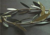 machtzondergrenzenicoon