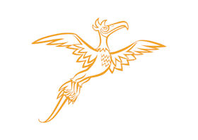 Feniks Informatiebrief nummer 2