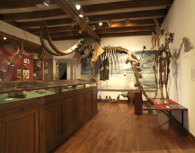 Honderd jaar Natura Docet