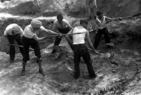 Geschiedeniscafe Schiedam