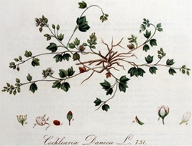 Jan Kops (1765-1849): Predikant en Landbouwkundige