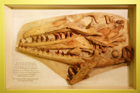 Opgeraapt Opgevist Uitgehakt